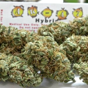 Buy Ak-47 strain online, Weed Shop Express is the best online cannabis store where you can buy AK-47 Marijuana online at very low price. discrete delivery
