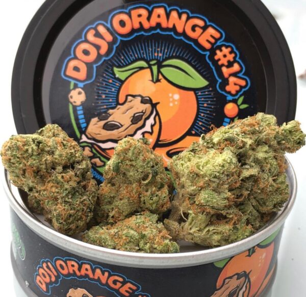 Buy Weed Online In Germany Buy Dosi Orange #14 Online