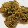 Buy Cannabis Online Portugal Buy Black Magic Kush Online UK