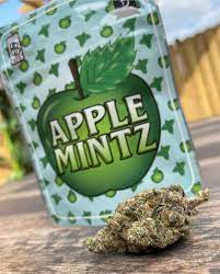 Cannabis For Sale Online Germany Buy Apple Mintz Backpackboyz Online Wedd For Sale Online France Buy Cannabis Online Ireland