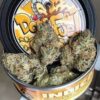 Buy Cannabis Online Europe Buy Dosi Fuel Online