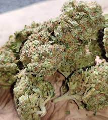 Buy Weed Online France Buy Harlequin strain Online UK Buy Harlequin strain Online Europe Buy Jungle Boyz Online UK with 100% discrete delivery