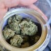 OG Kush Marijuana Strain UK - Buy weed online UK! Buy Charas Hash Online UK. We offer Weed Edibles, cannabis & shatter for delivery