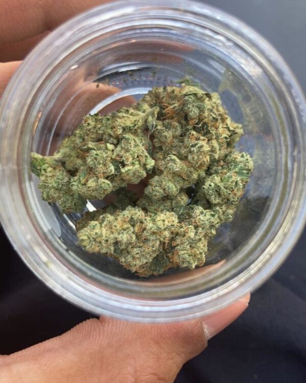 Buy Marijuana Online Denmark Where to buy durban poison online to buy durban poison online uk order weed online germany at the best prices, with delivery