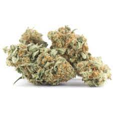 Buy Weed Online Denmark Buy Timewreck Online UK Marijuana for sale in germany buy cannabis online poland