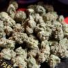 Buy Kerala Kush Online Buy Kerala Kush Online UK Buy jungle boys online france buy moonrock online europe