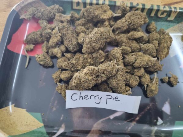 Buy Cherry Pie Strain Online